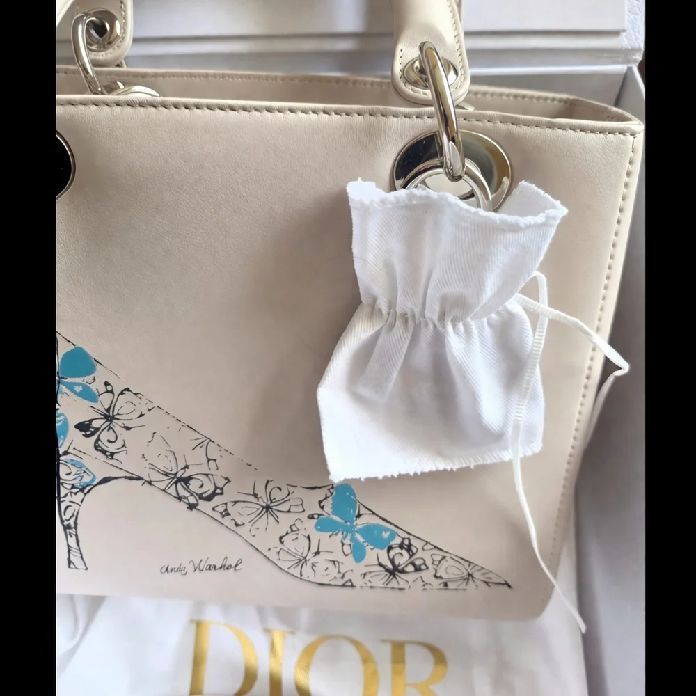 ✨Lady Dior x Andy Warhol Stiletto Motif – Christian Dior Collector Piece✨